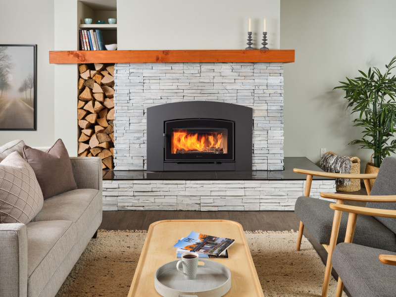 Regency Alterra Pro i3000 Contemporary Wood Fireplace Insert