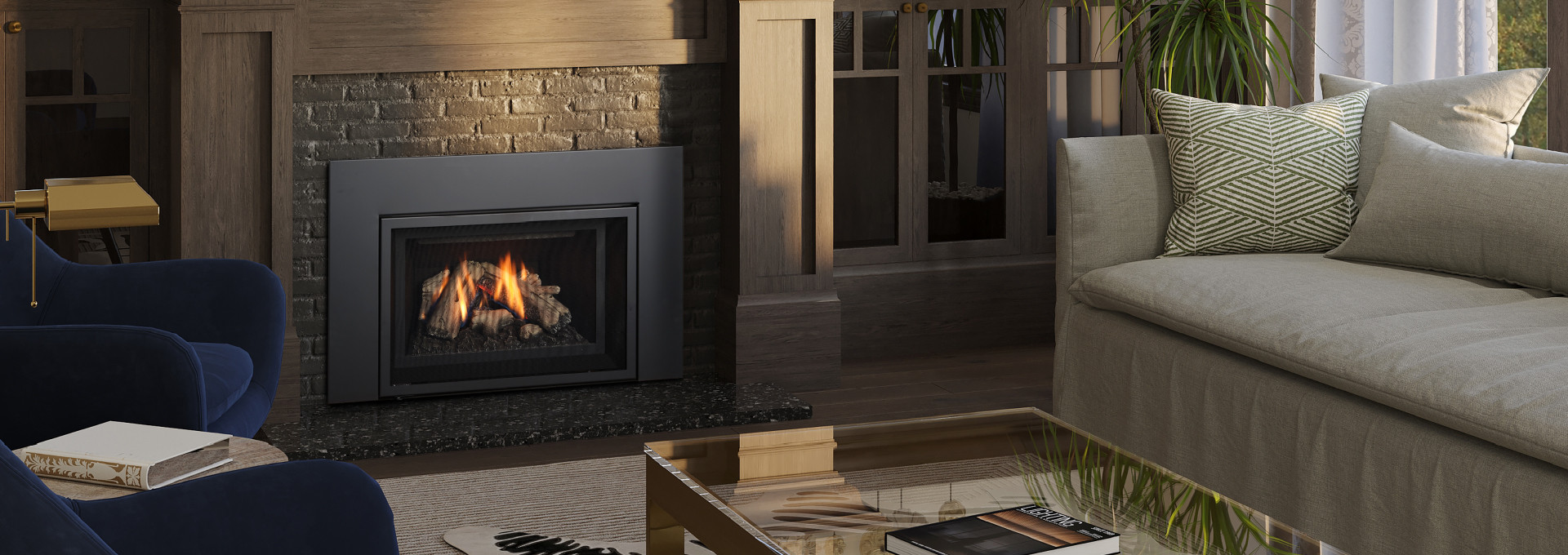 Regency GI25LE Gas Insert