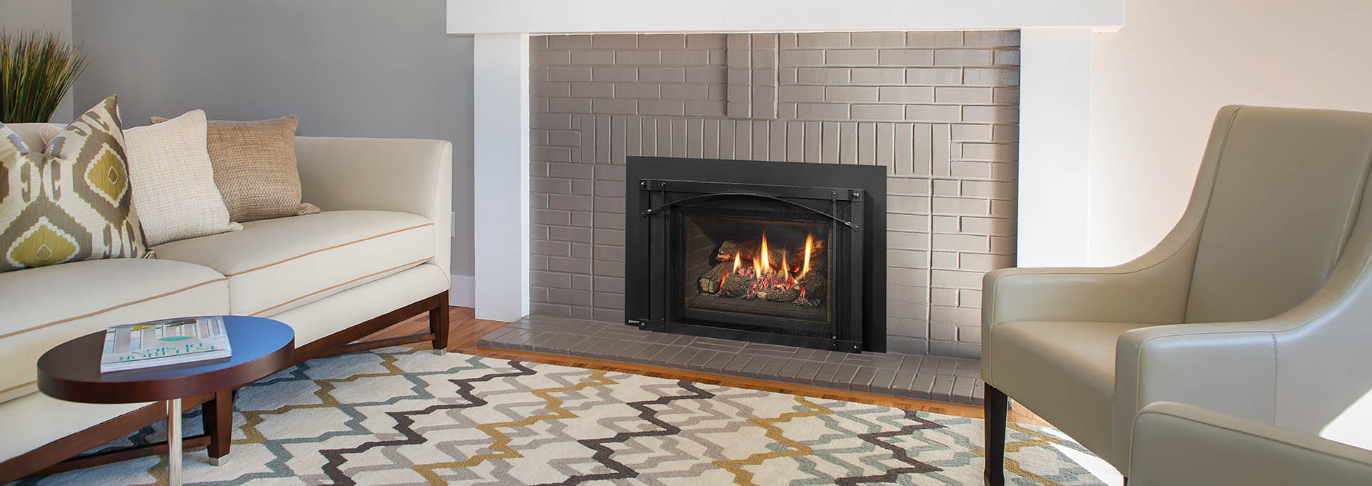 Regency LRI4E Gas Insert