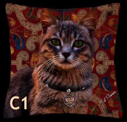 Gray Tabby