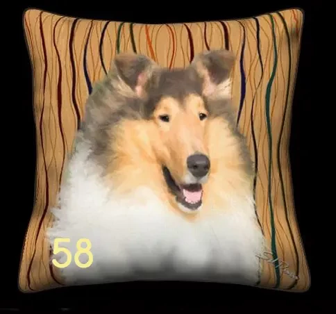 Collie