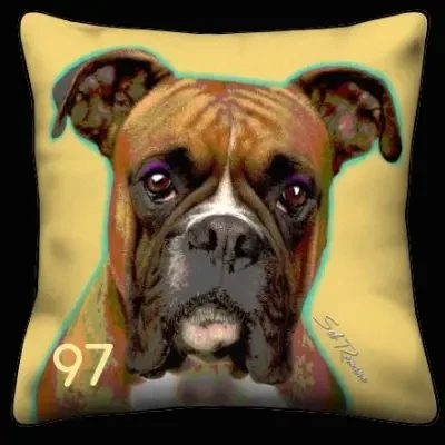 Boxer - Yellow