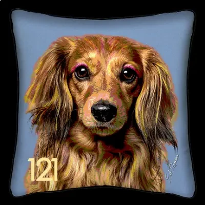 Dachshund - Blue