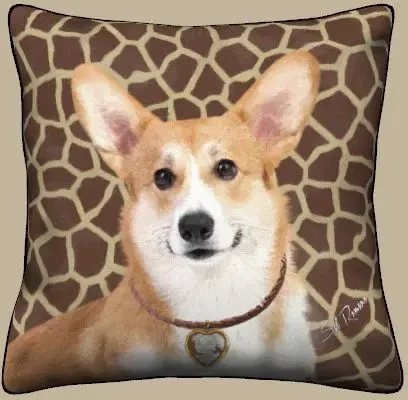 Pembroke Corgi