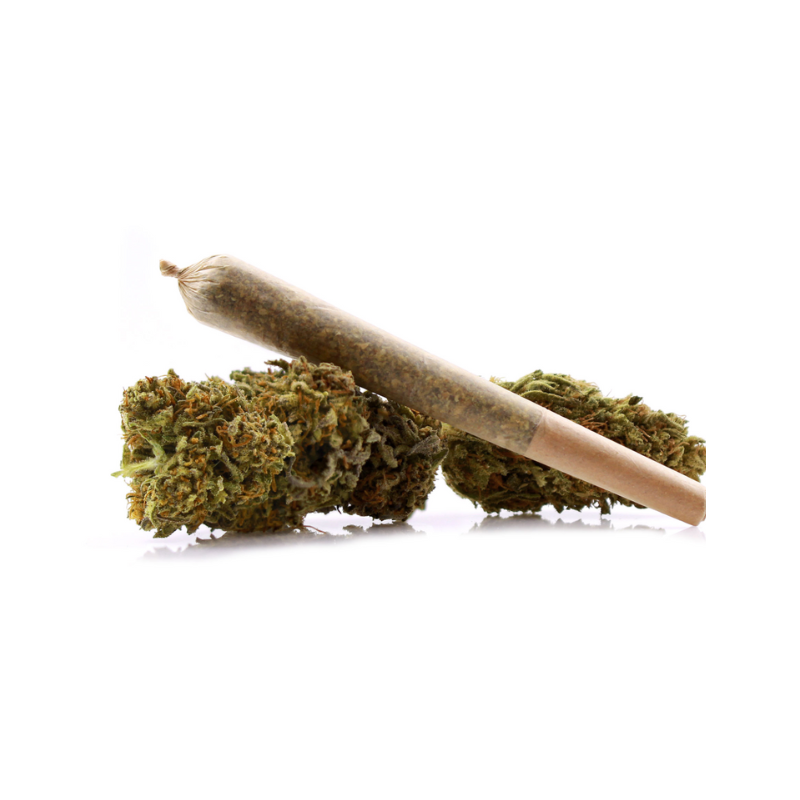 Kizmah House THCa Flower - Rotating Strains - Preroll