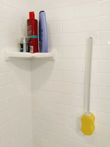 Bathing Sponge