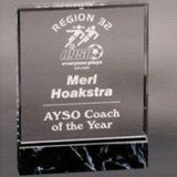 Acrylic Fusion Award