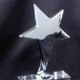 Crystal Silver Star Award