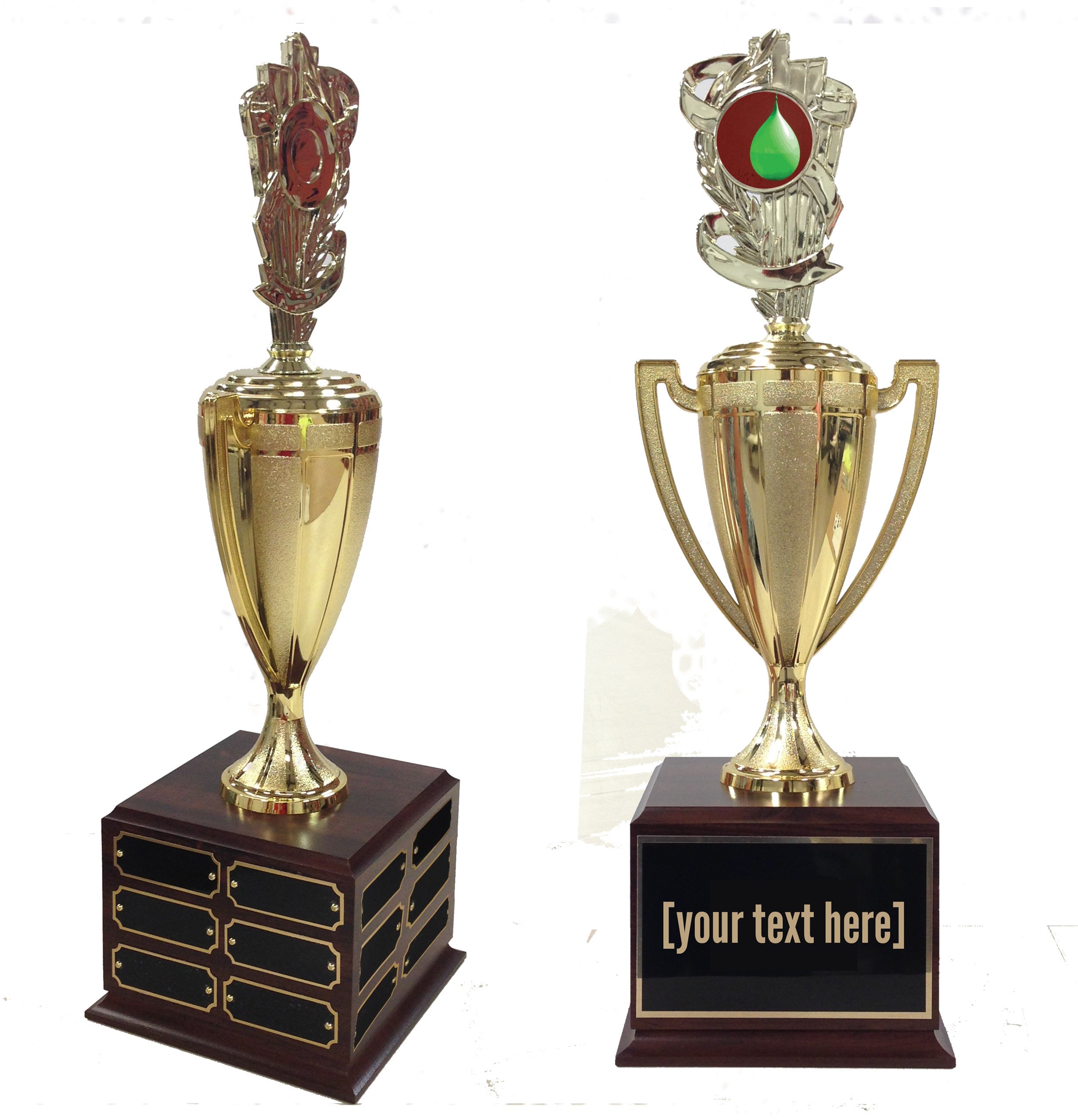 Water Balloon Traveling Trophy