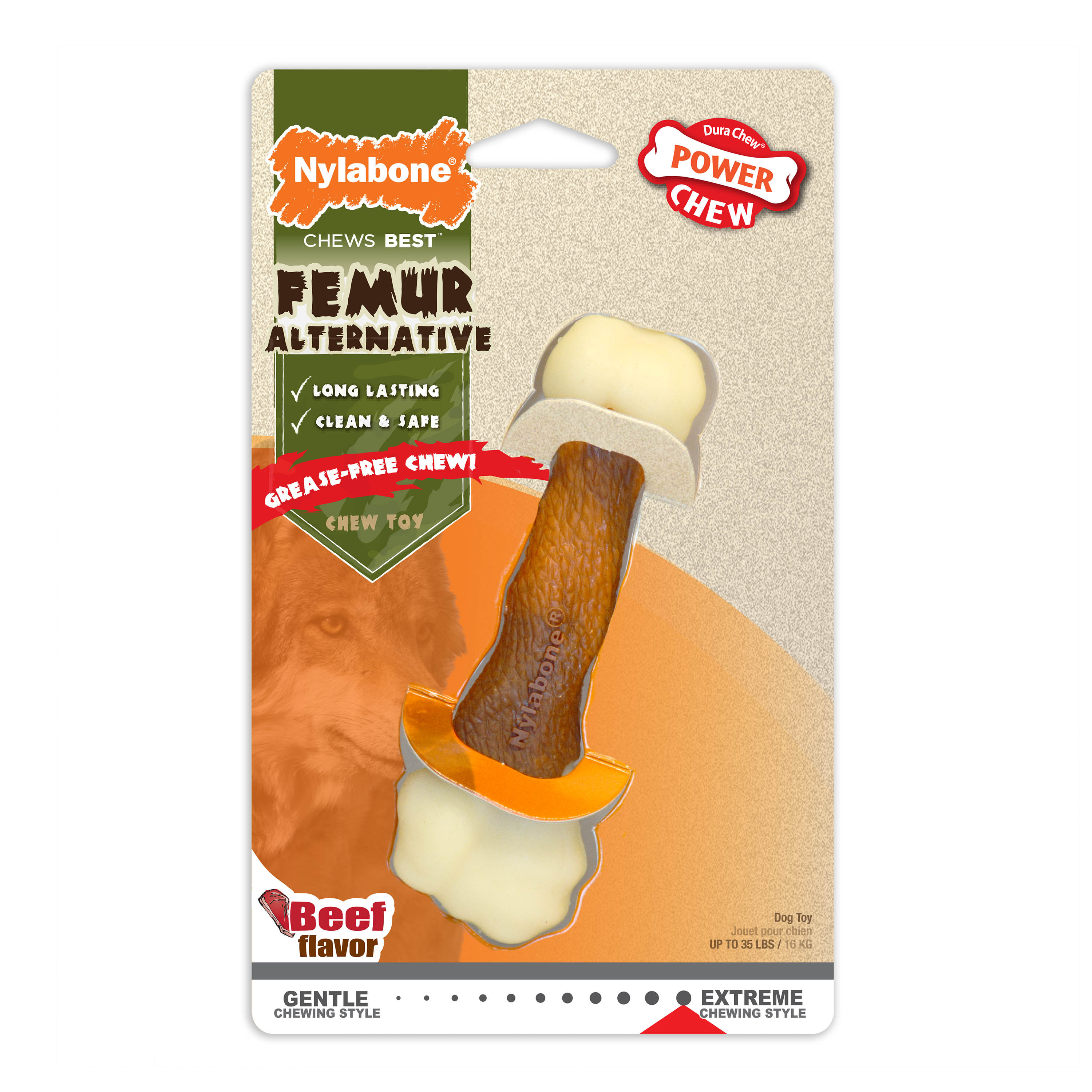 NB Femur alt  Beef
