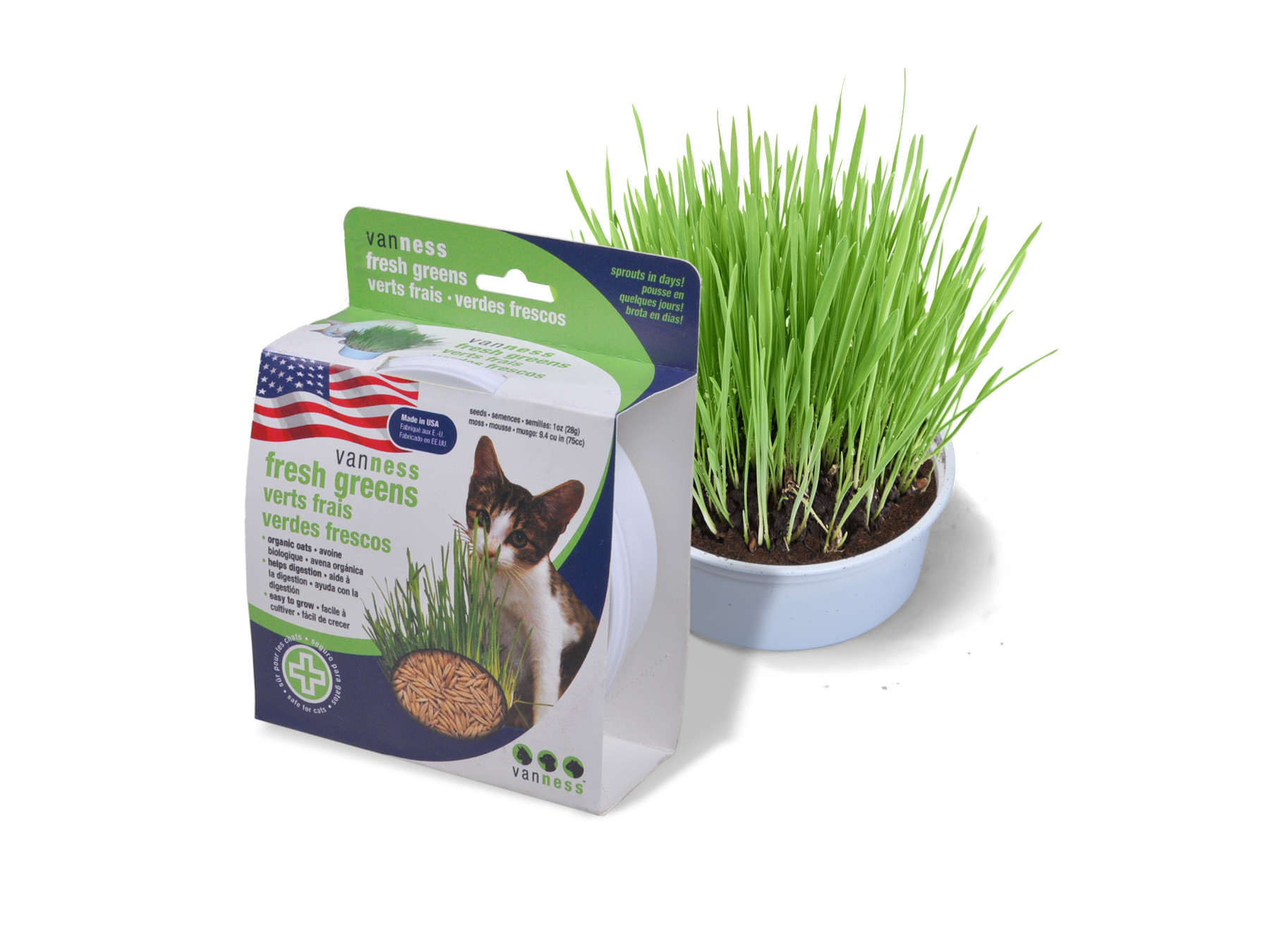 Oat Garden  Kit