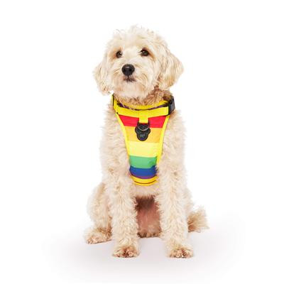 Everything Harness Rainbow Md