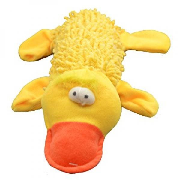 Bottle Toy Duck