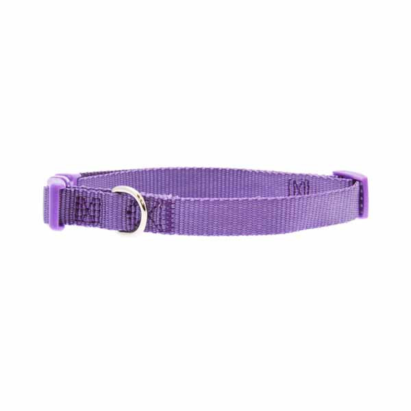 Zack and Zoey Collar 6-10 Lav