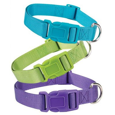 Zack and Zoey Collar 6-10 Teal
