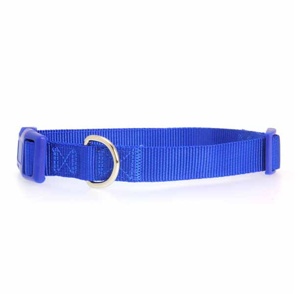 Zack and Zoey Collar 6-10 Blue