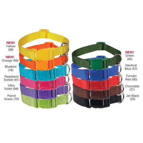 Zack and Zoey Collar 18-26 Blk