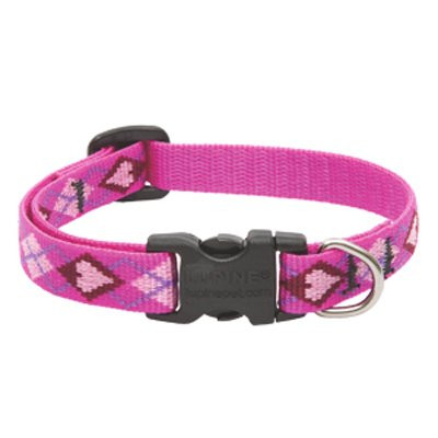 Lupine 10-16 1/2 PupLove