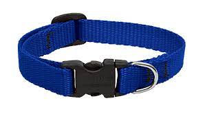 Lupine 6-9 1/2 Adj Blue