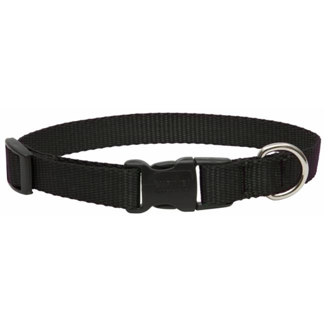 Lupine3/413-22Adj.BlacCollar