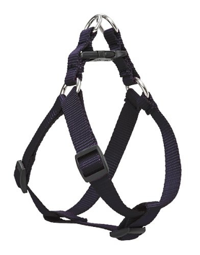Lupine 24-38 StepIn Black