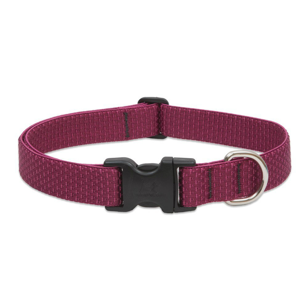 Lupine16-28 1 ECOBerry
