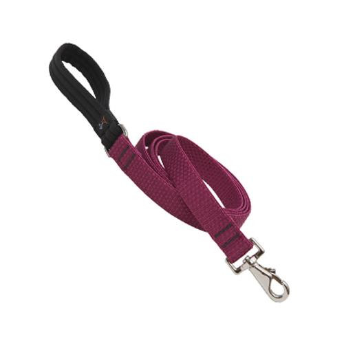 Lupine 1 6' ECOBerry