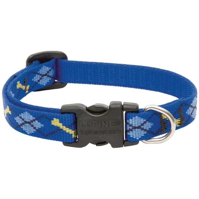 Lupine 6-9 1/2 Dapper Dog