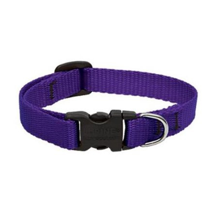Lupine 10-16 1/2 Adj Purple