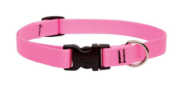 Lupine 13-22 3/4 Pink