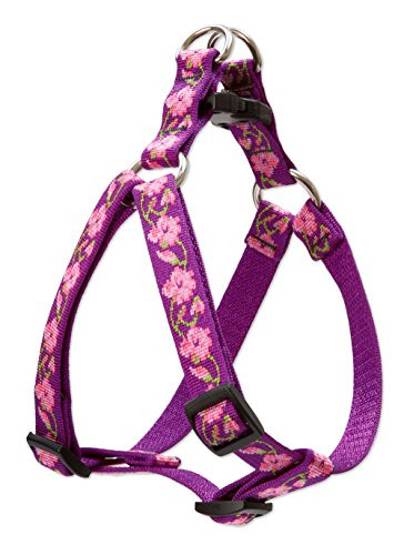 Lupine 20-30StepIn RoseGarden