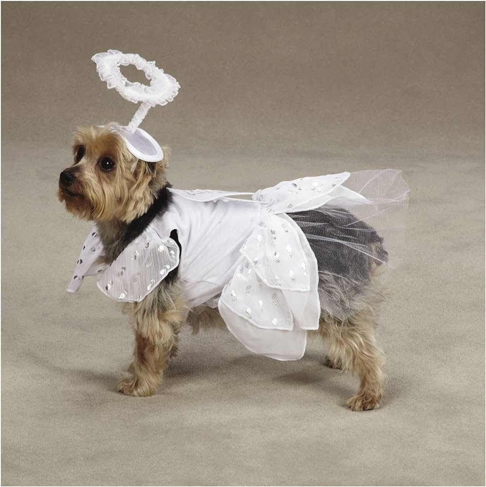 CC Angel Costume S