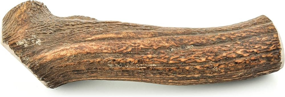 Elk Antler Med