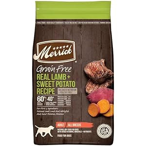 Merr JerkyChip Lamb/Potato 10z