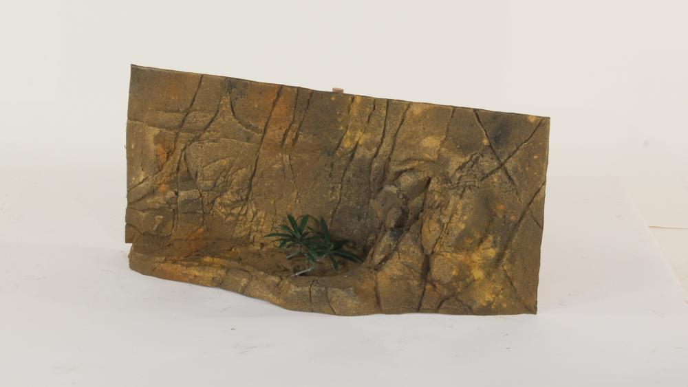 30" x 12" Gecko