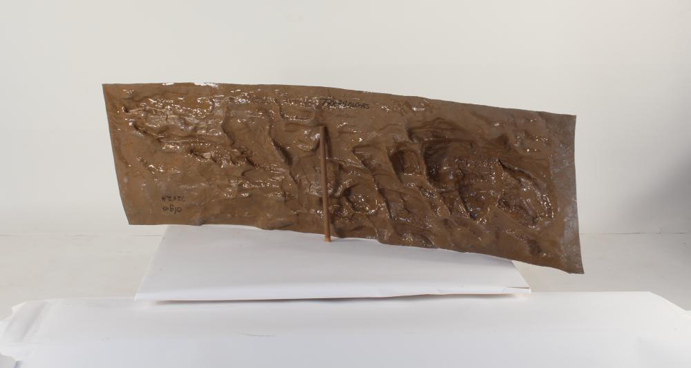 72" x 24" OLGAS