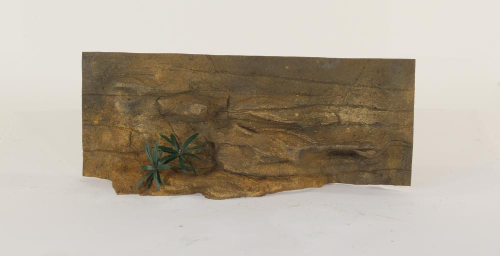 30" x 12" Ledge