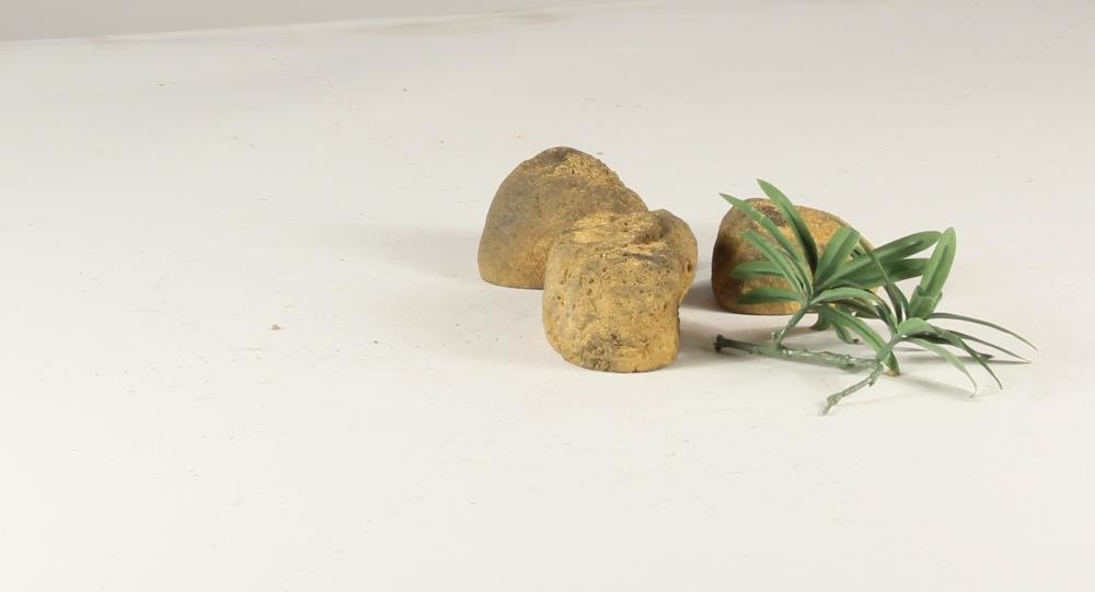 Stonecluster - 003