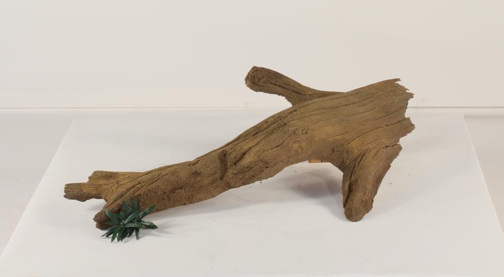Tree Branch - 004