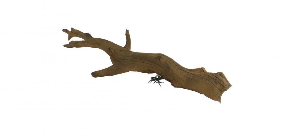 Tree Branch - 006