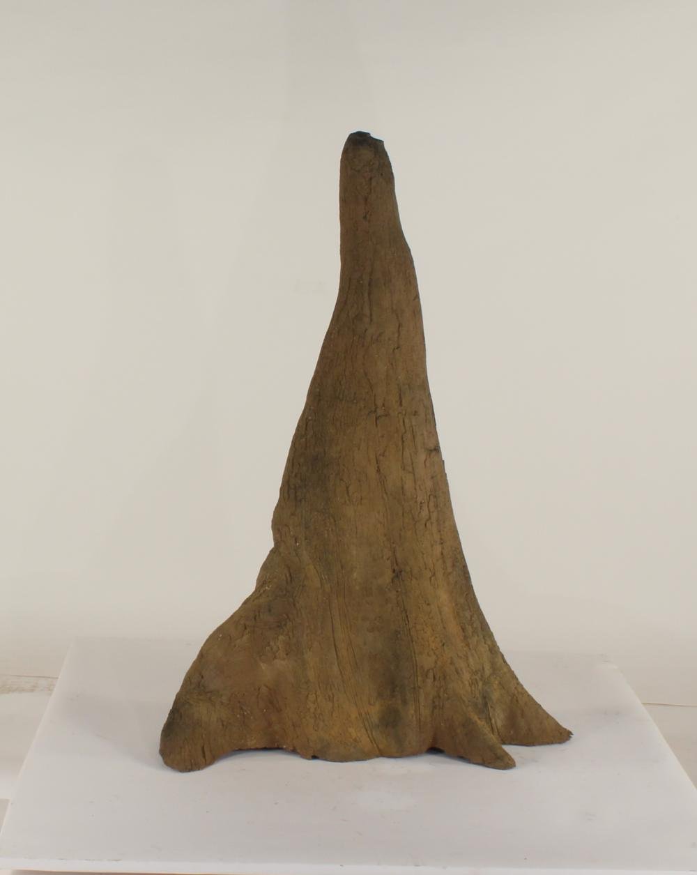 Cypress Knee - 009