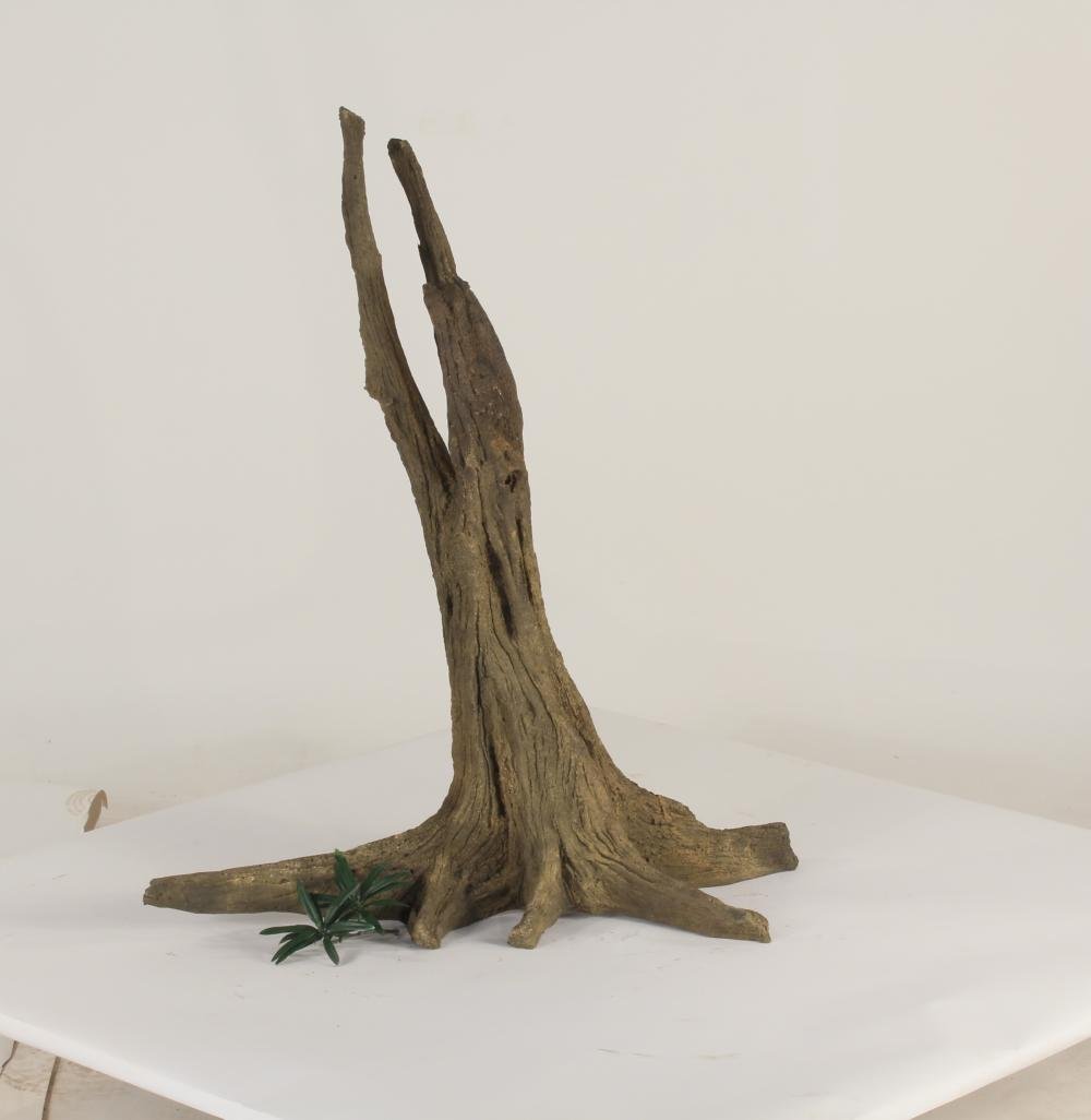 Tree Stump - 003