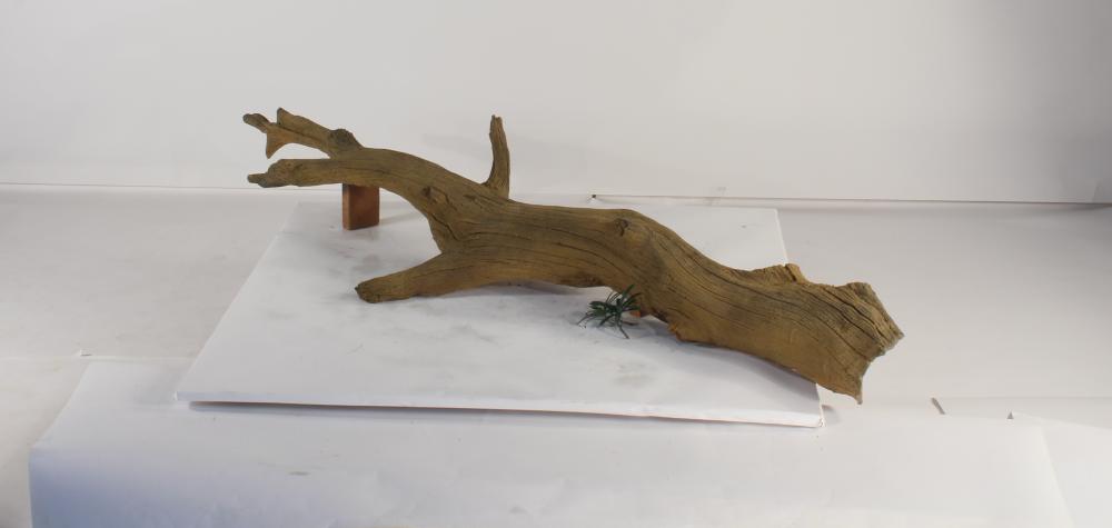 Floating Log-003