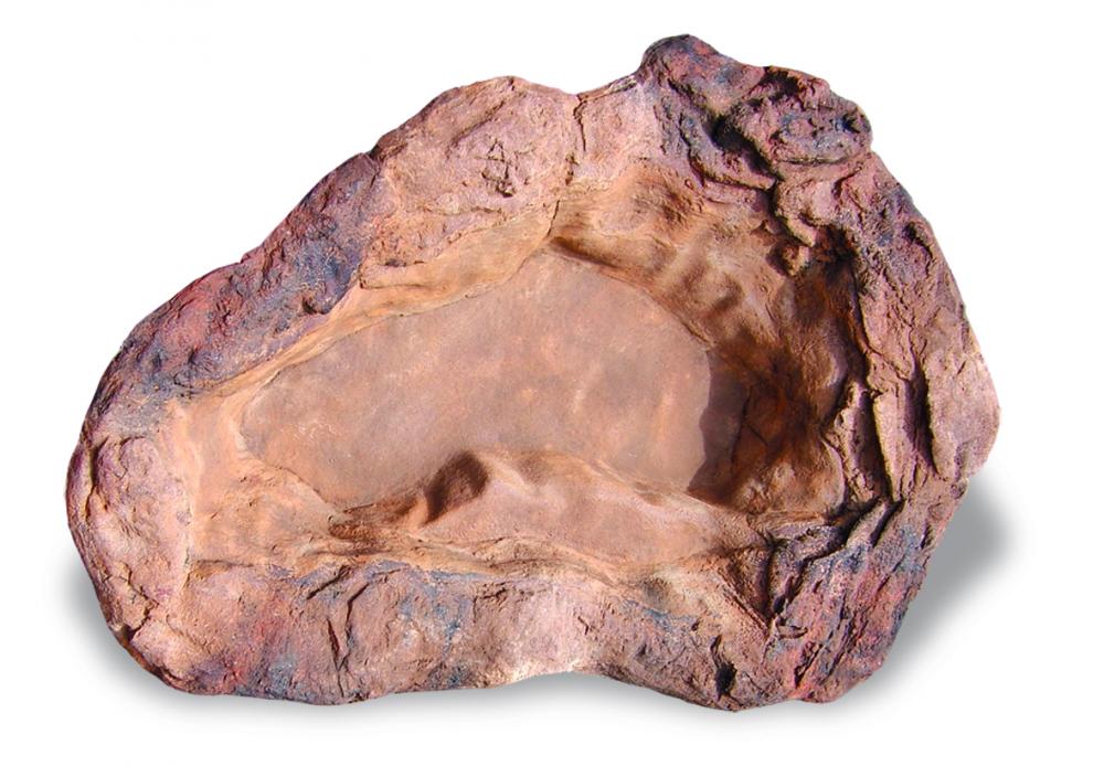 Medium Rock Pond-005