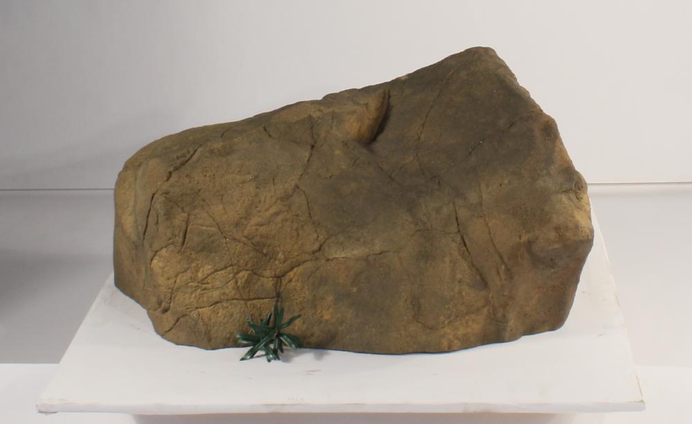 ROCK-008