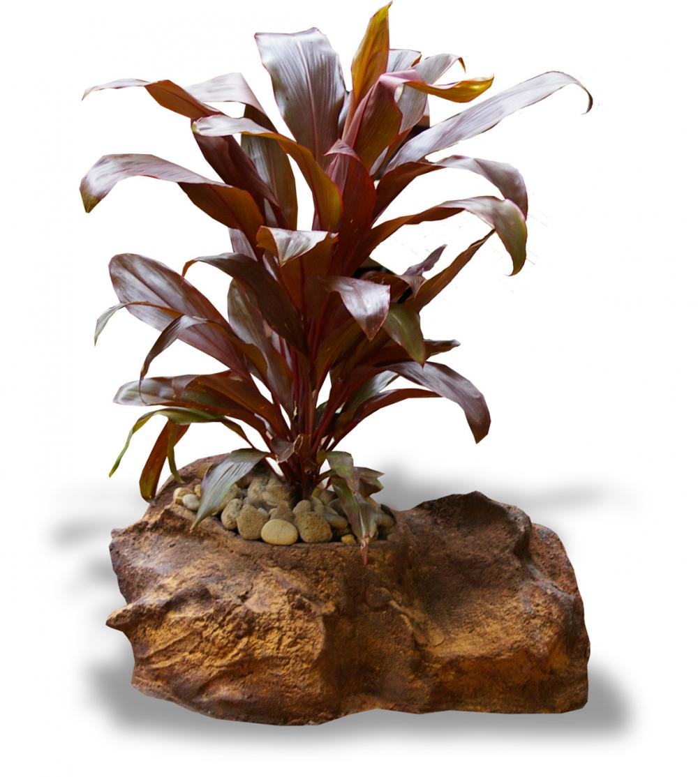 Pot Rock - 003
