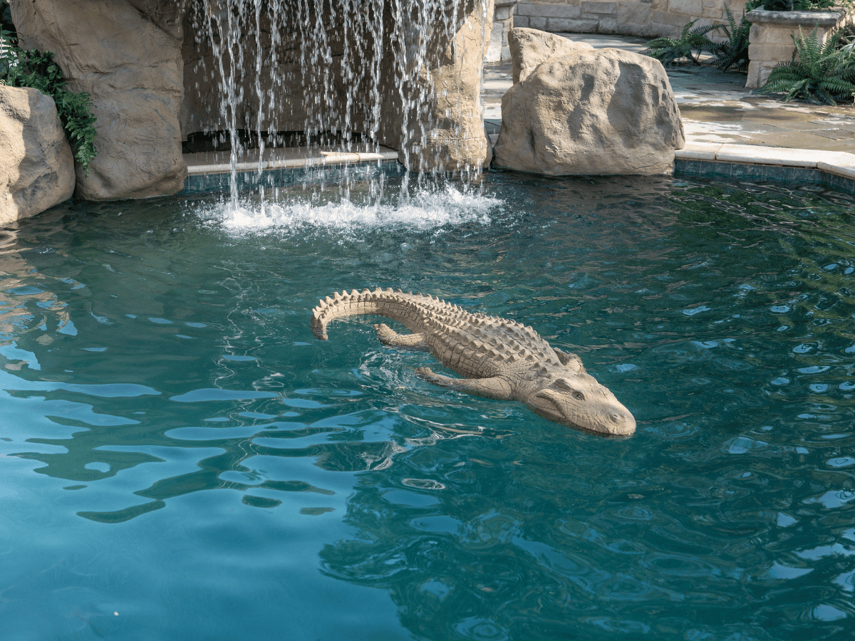 Floating Alligator 6