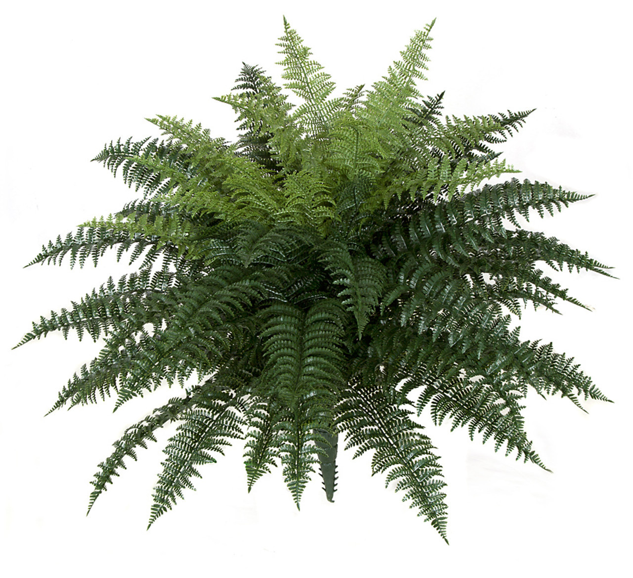 26 Inch Outdoor Ruffle Fern