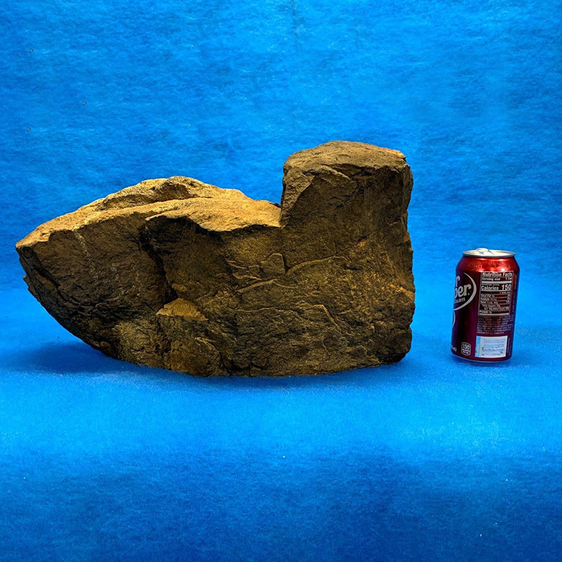 DIY Ledge-006