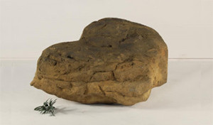 Edge Rock-004